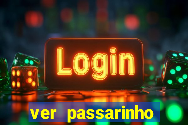 ver passarinho morto significado espiritual